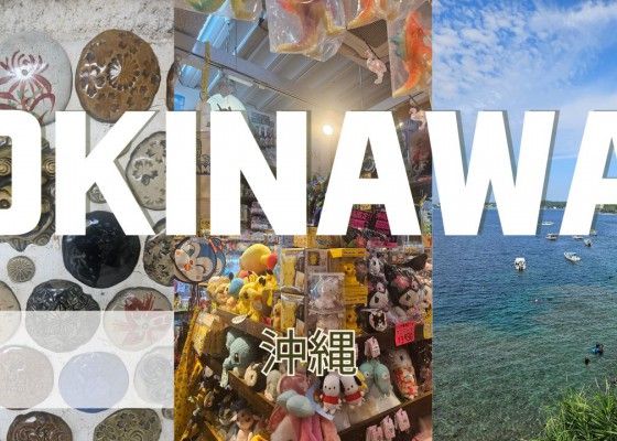 [BUFS_비즈전공생 4조] 2025 일본테마로드 오키나와 역사 및 문화탐방ㅣ이게 일본이라고?! 또 다른 일본 