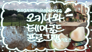 [BUFS_비즈전공생 7조] 2025 일본테마로드 오키나와 역사 및 문화탐방ㅣ일본테마로드 프로그램_ 7조's Vlog