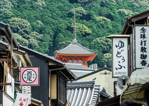 11학번 이근영: 항공사 지상직 승무원(일본)