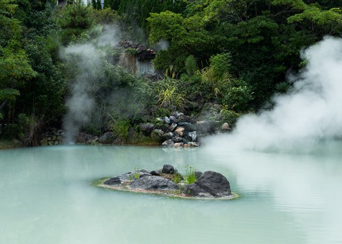 <교환학생 체험담> 21학번 이도우: 토요대학 (일본 도쿄), 2023년 파견